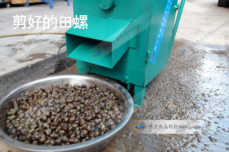 ȫ�Զ����ݼ�β��-������