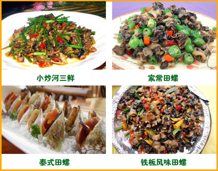 �����ݣ�������ʳ����������