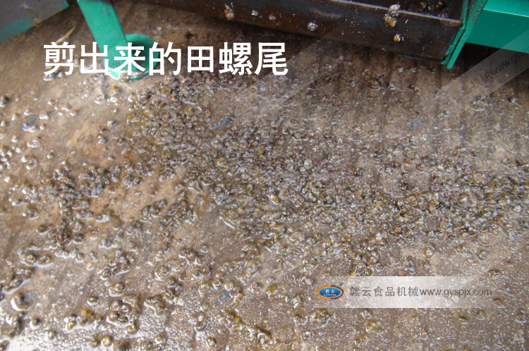 ������������β-ȫ�Զ����ݼ�β��