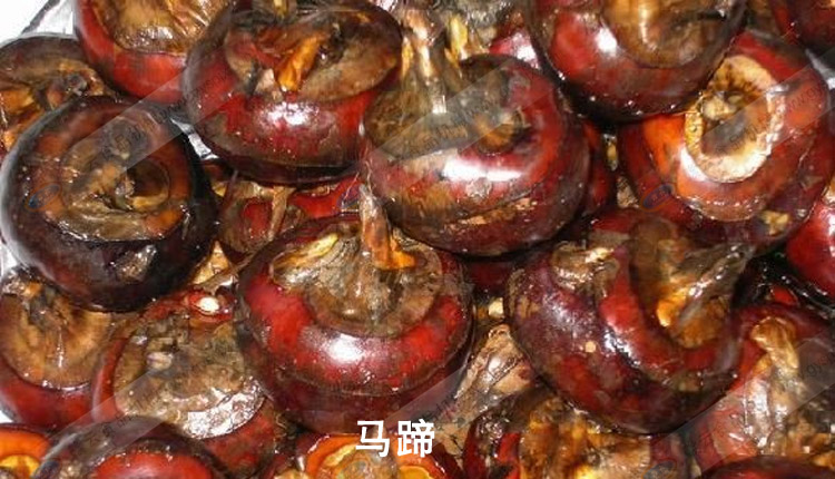 ����-������-���ͼ���������