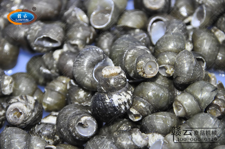 ���õ�������дͼ