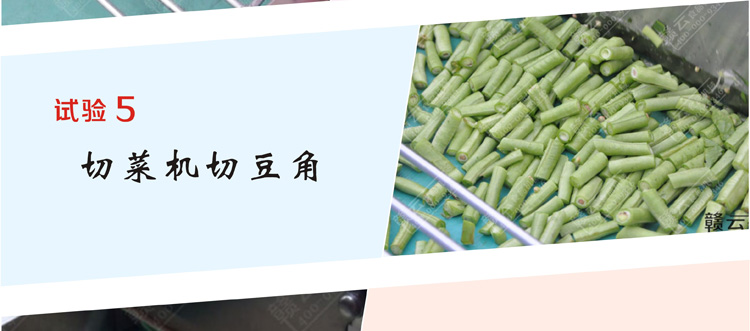 赣云牌1000型多功能切菜机