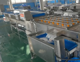 �����ȶ�