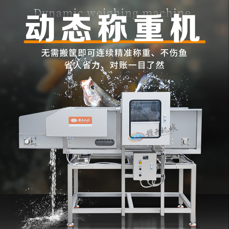 动态称重机 动态称重机