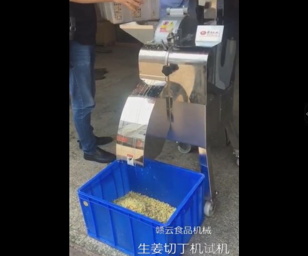 切生姜机器 切生姜机器