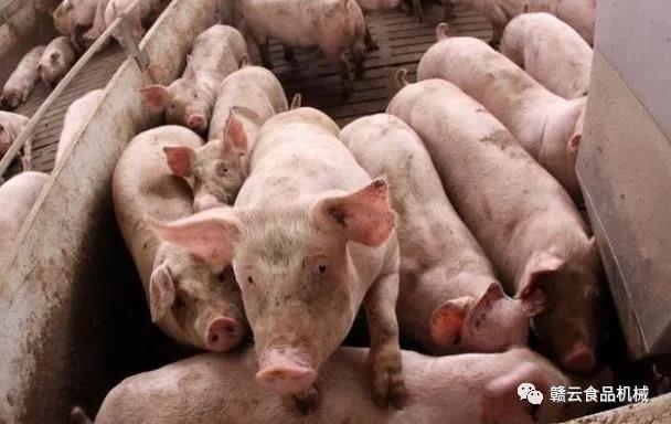 ��Ȧ�����