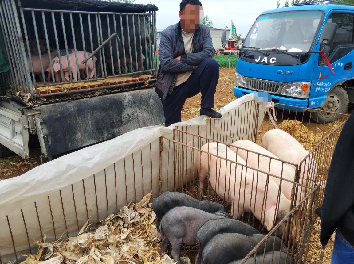 ����۸����ƫ��