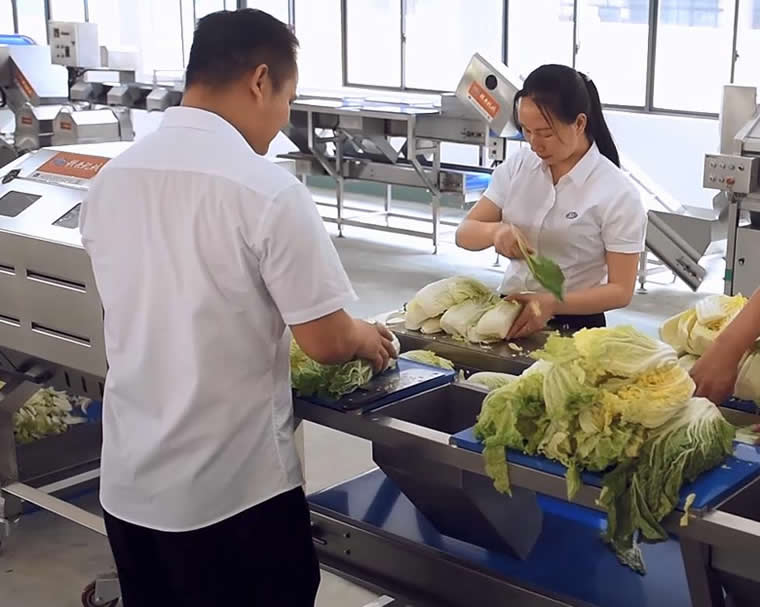 Ԥ�Ʋ���ϴ���˹��ּ�