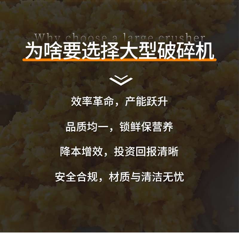 ΪʲôҪѡ����������